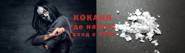 дживик Протвино