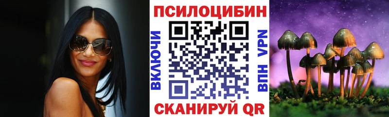 купить наркотики сайты  Таштагол  Галлюциногенные грибы мицелий 
